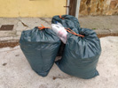 Bolsas de basura en la calle en Masías.