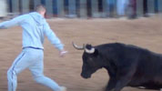 Un toro de la ganadería El Mijares en un espectáculo celebrado en Montcada.