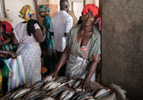 Vendedora de pescado en Gambia.